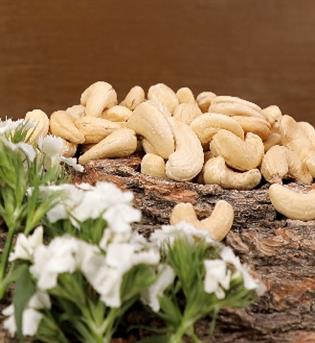 بادام هندی گردی سایز 240 اعلاء