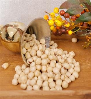 مغز فندوق سفید 