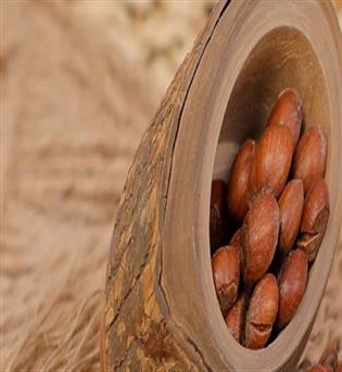 فندوق ایرانی با پوست