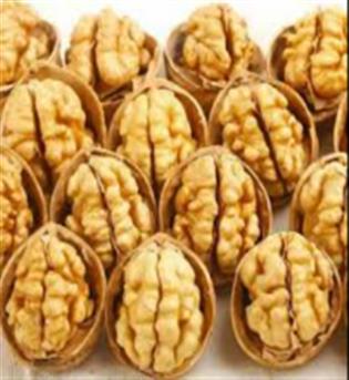 گردو با پوست درجه یک ایرانی 