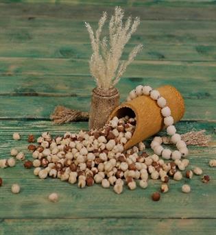 مغز فندوق ایرانی