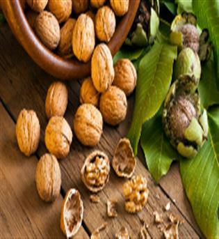 گردو پوست کاغذی  خارجی 