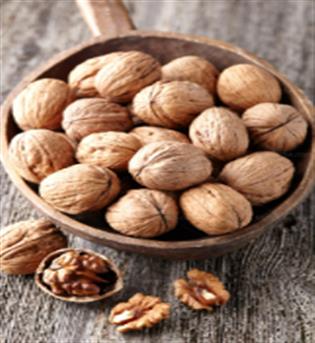 گردو پوست کاغذی  خارجی 