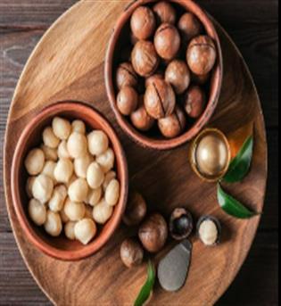 فندق استرالیایی ماکادمیا  