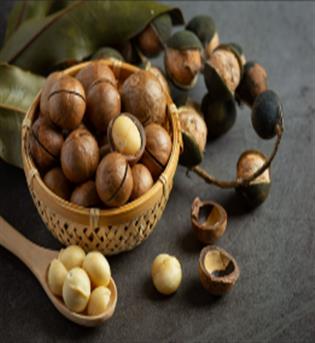 فندق استرالیایی ماکادمیا  