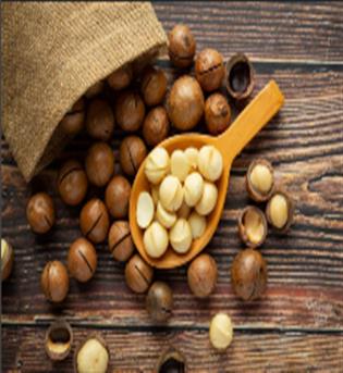 فندق استرالیایی ماکادمیا  