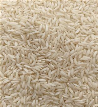 برنج طارم هاشمی سید جمال